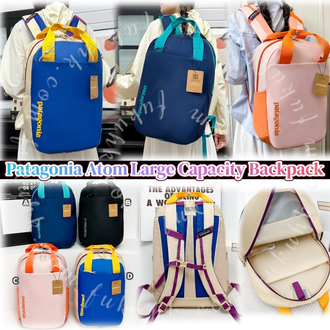 Patagonia  Backpack