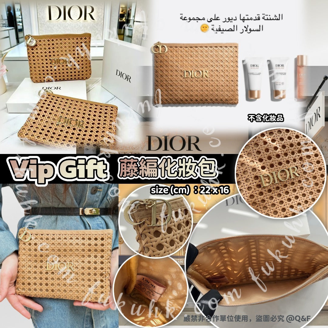 Dior storage bag