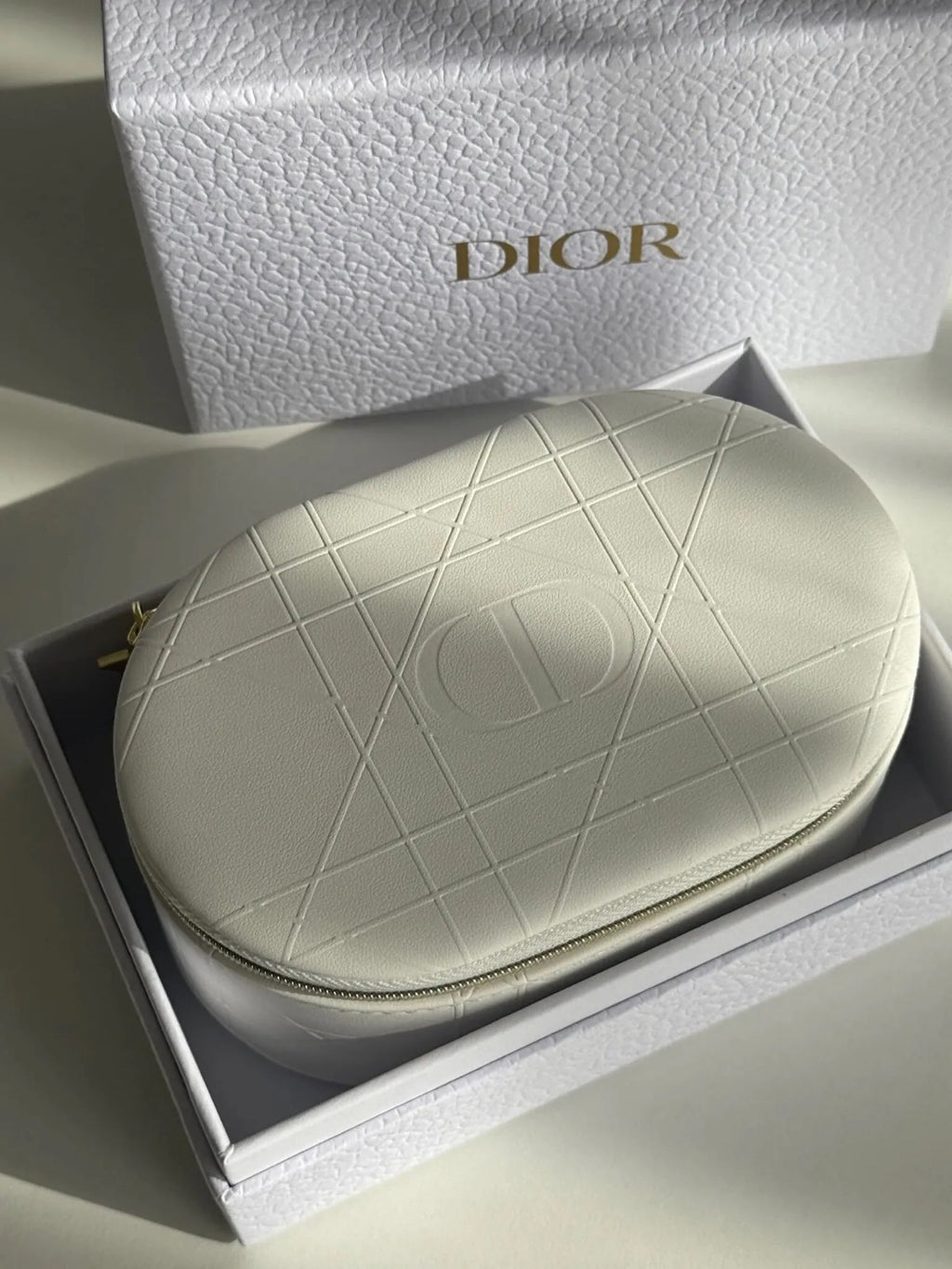 DIOR storage bag