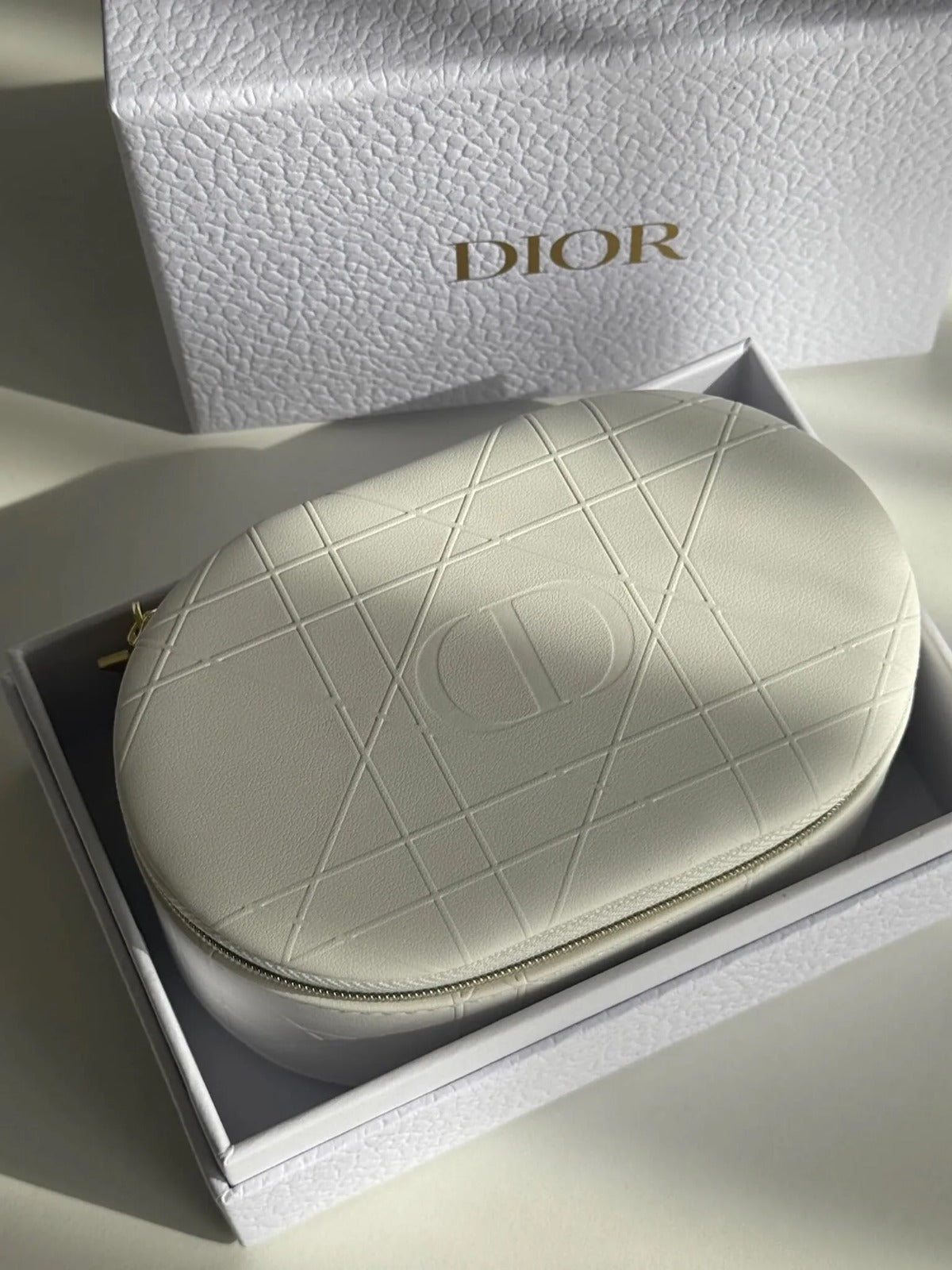 DIOR storage bag
