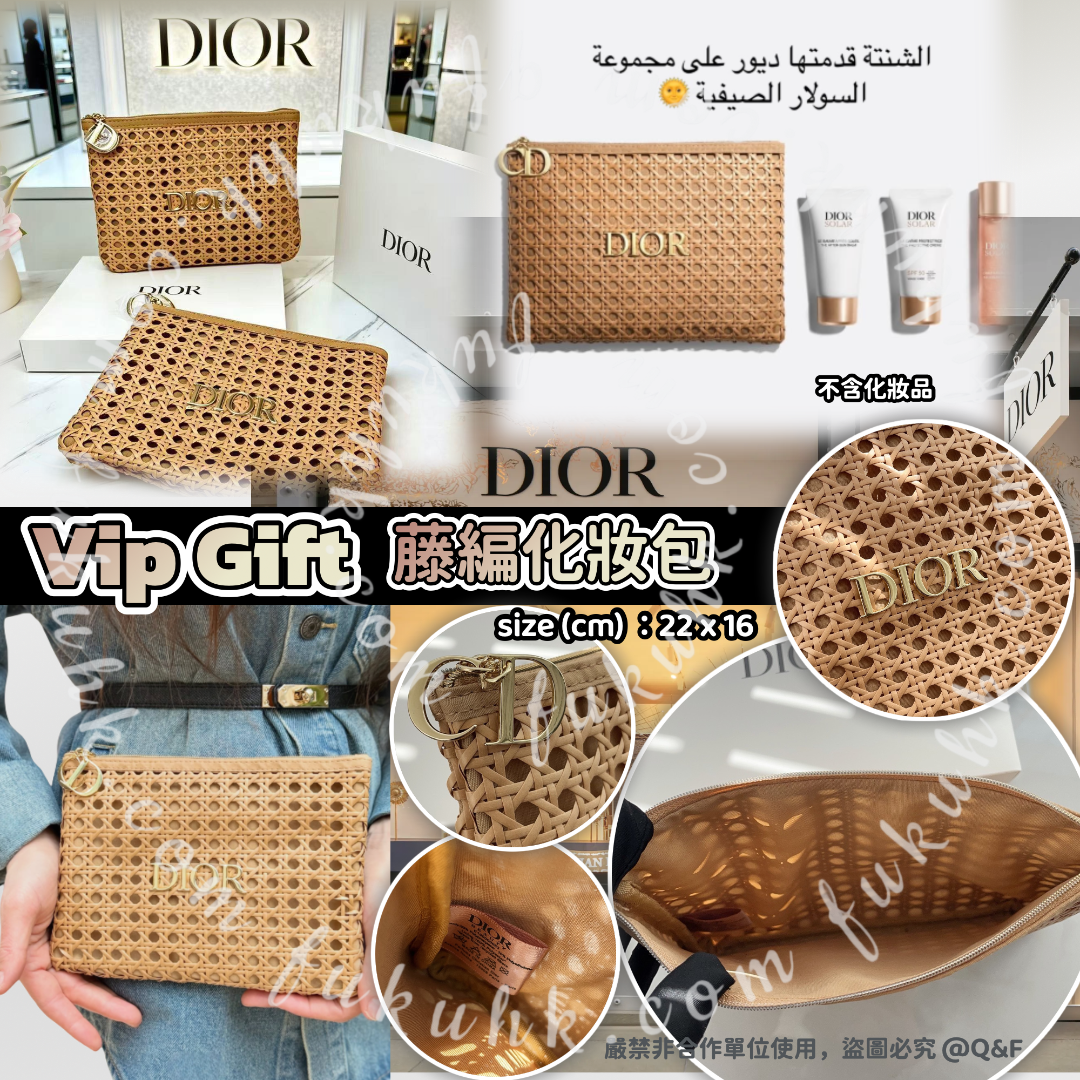 Dior　Luxury Gift　Bag