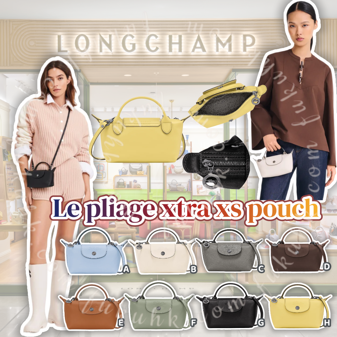 Longchamp Bag